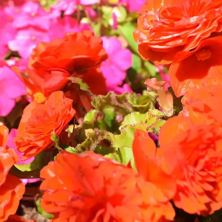 Haus Constanze Apartament Bernkastel-Kues