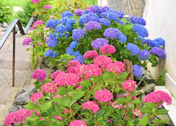 Haus Constanze * Bernkastel-Kues