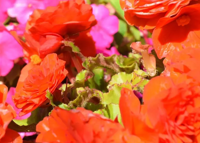 Haus Constanze Apartamento Bernkastel-Kues