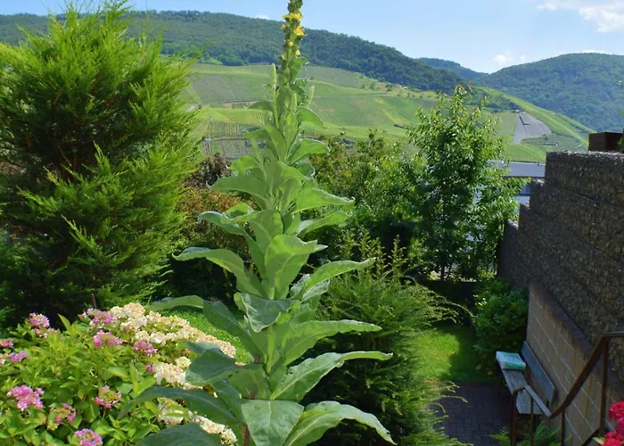 Haus Constanze Apartamento